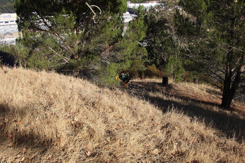 IMG 0015 (2)